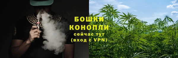 крисы Новозыбков